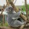 埼玉県こども動物自然公園