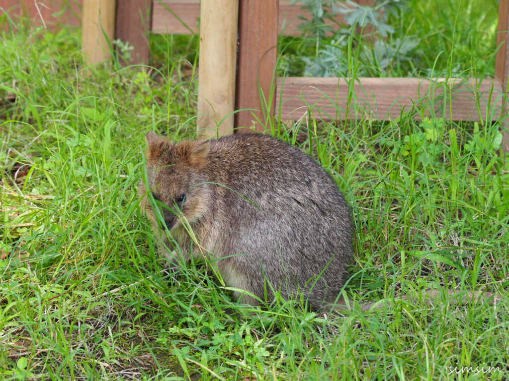 埼玉県こども動物自然公園