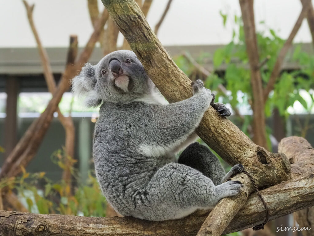 埼玉県こども動物自然公園