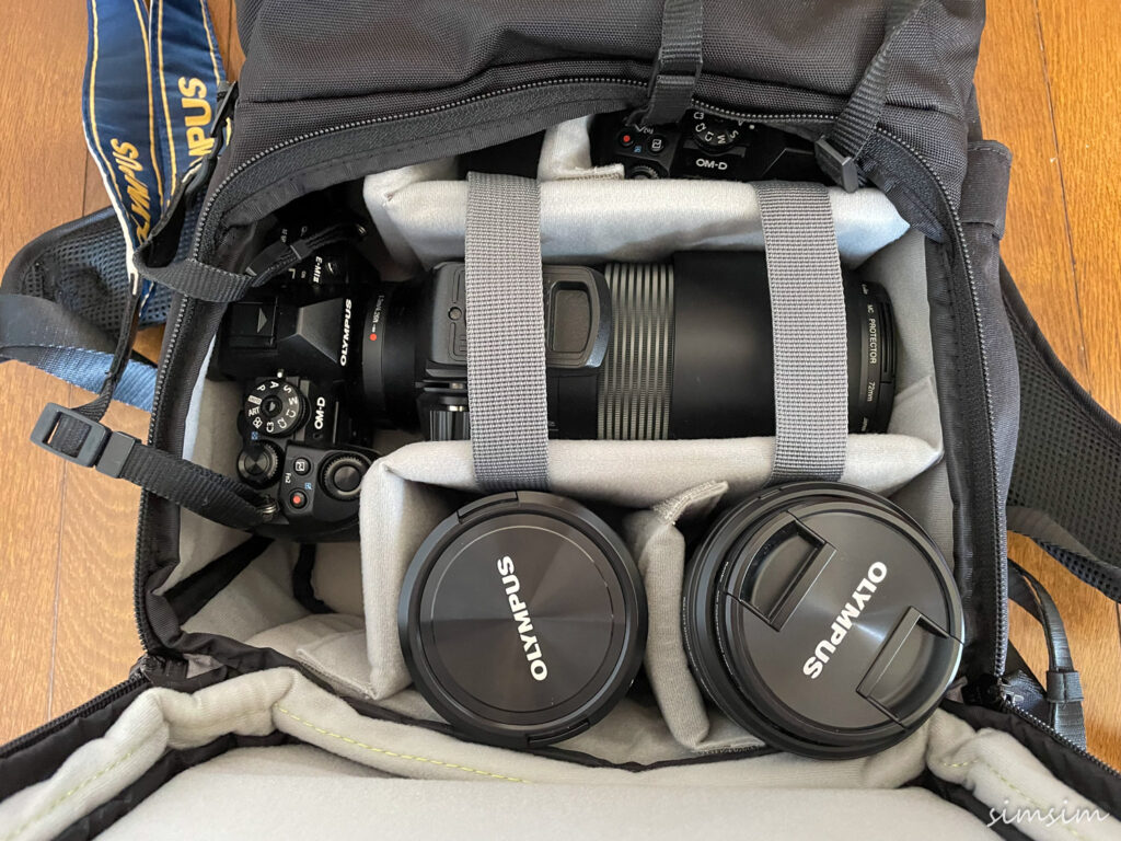 エンデュランスEXTⅡ