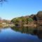 薬師池公園