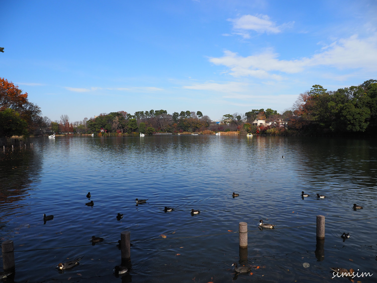 洗足池公園