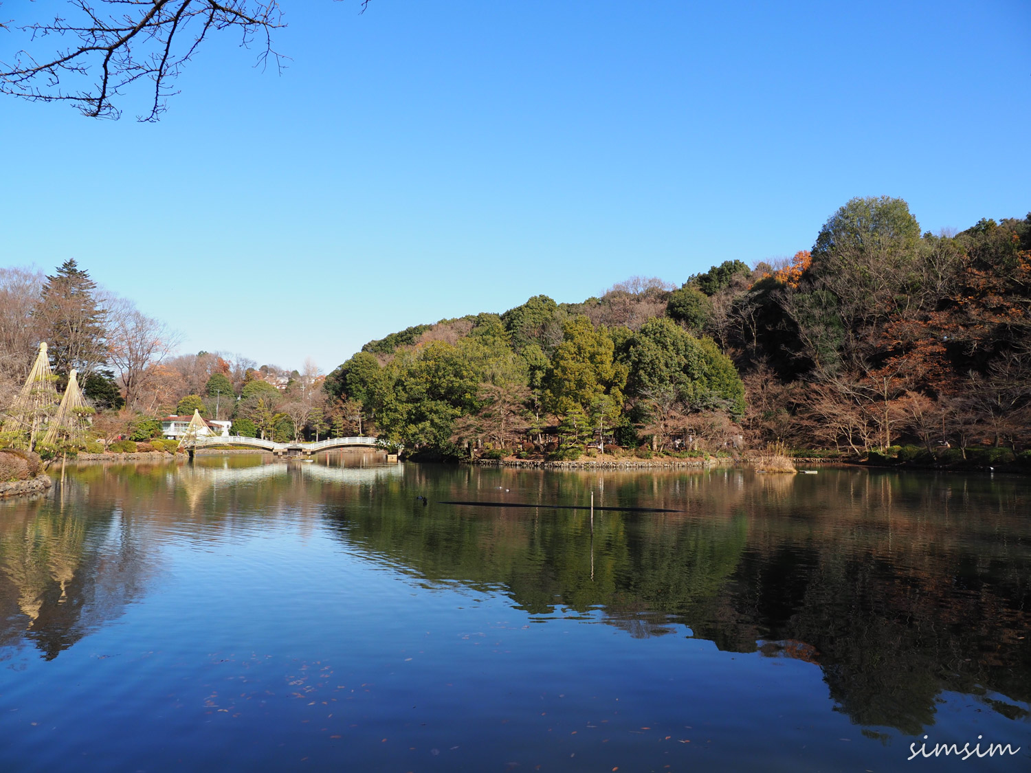 薬師池公園