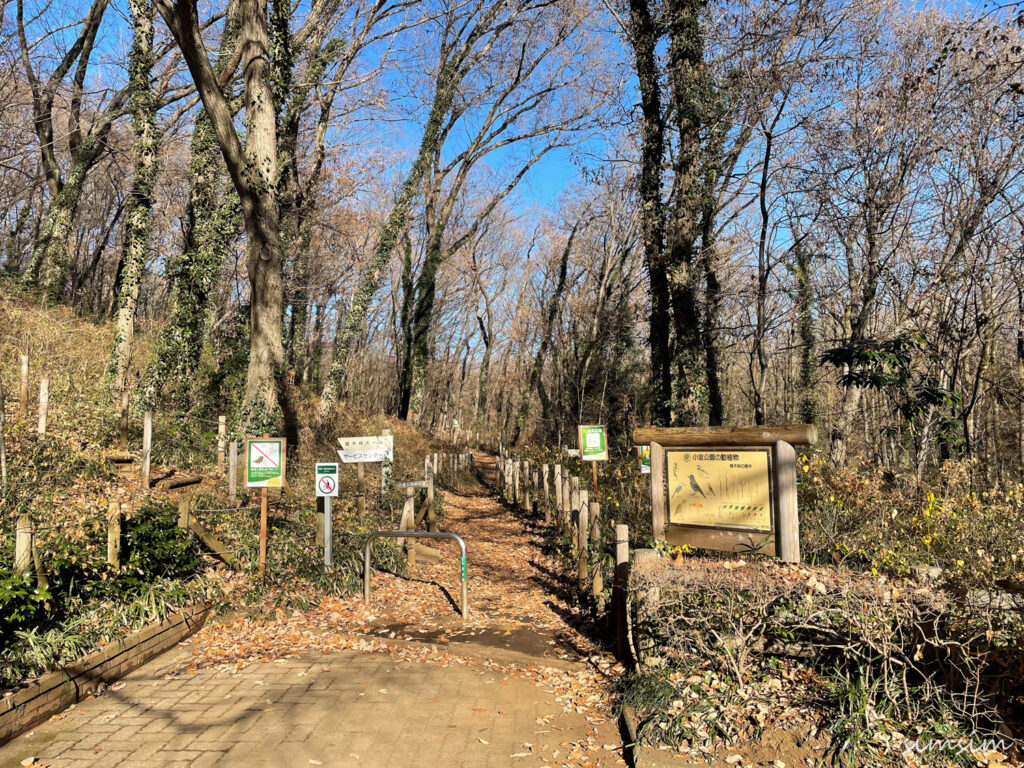 小宮公園