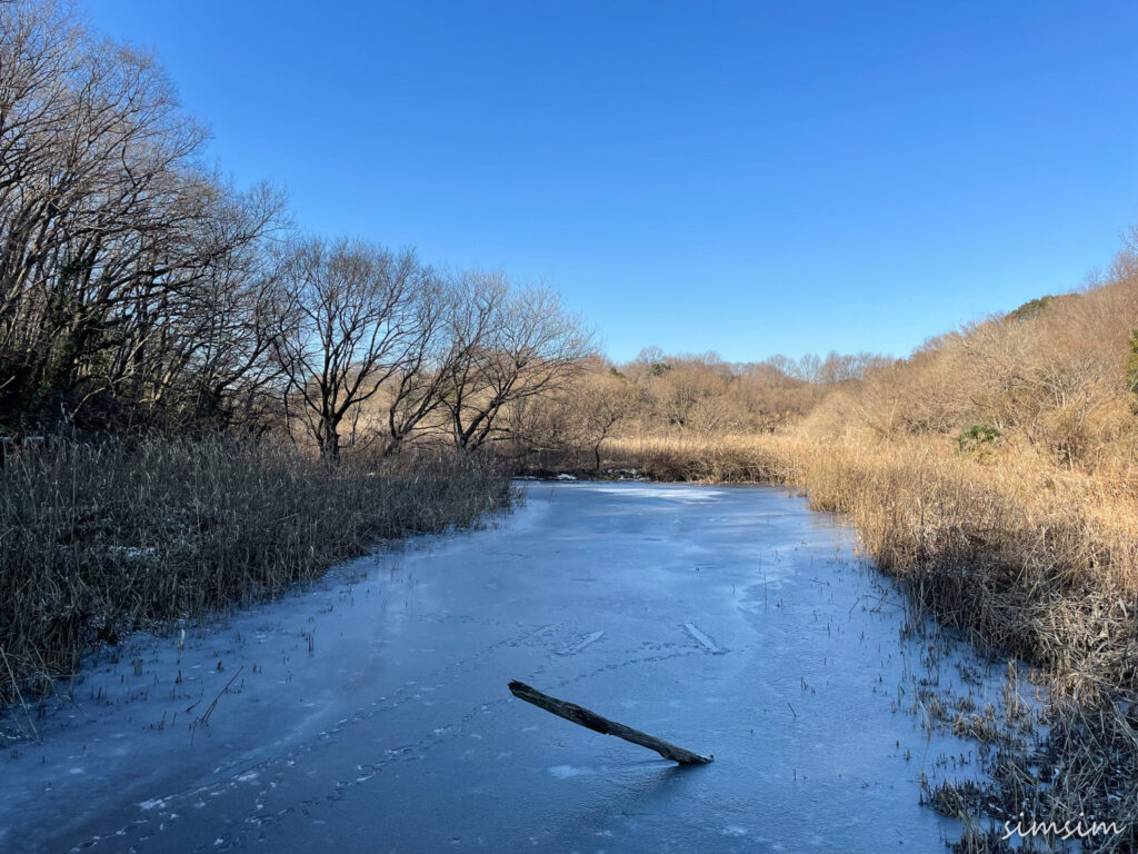 北本自然観察公園