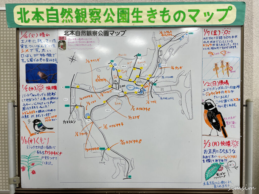 北本自然観察公園