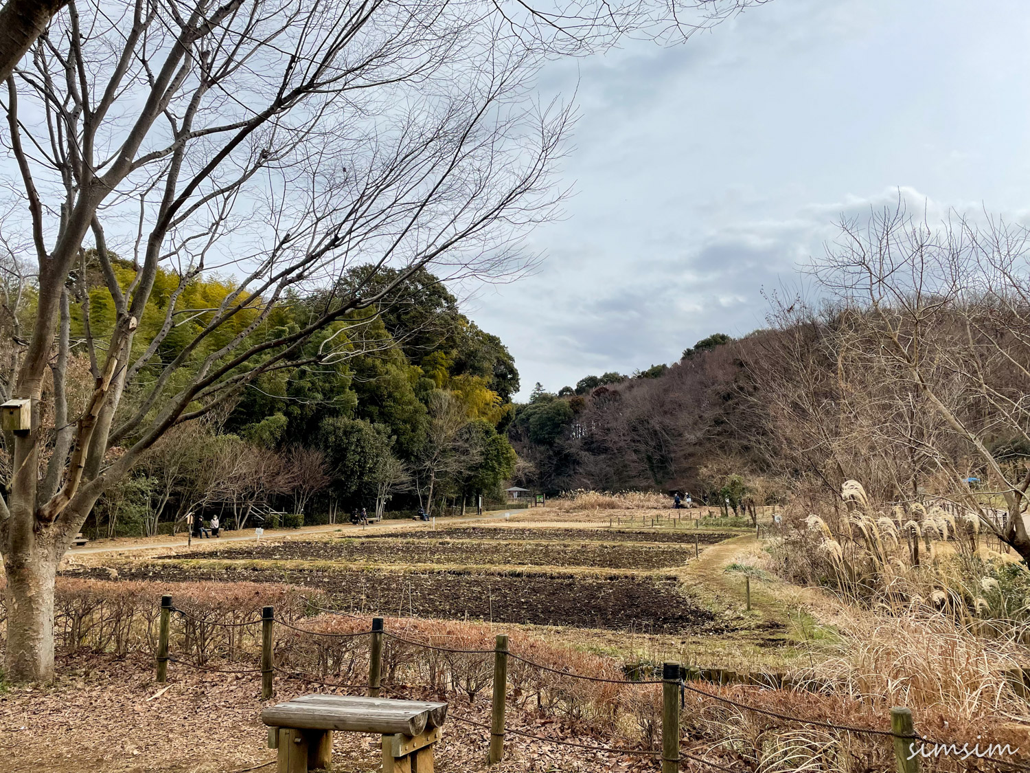座間谷戸山公園