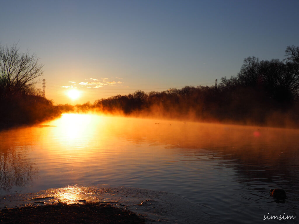 川島白鳥飛来地