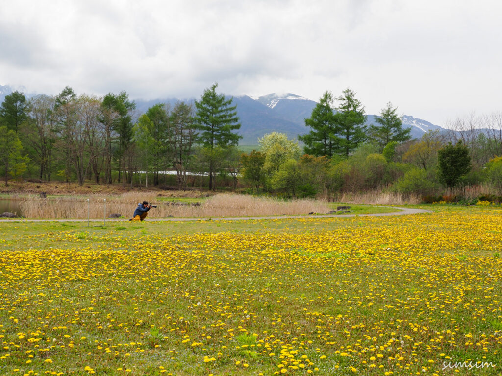 八ヶ岳ふれあい公園