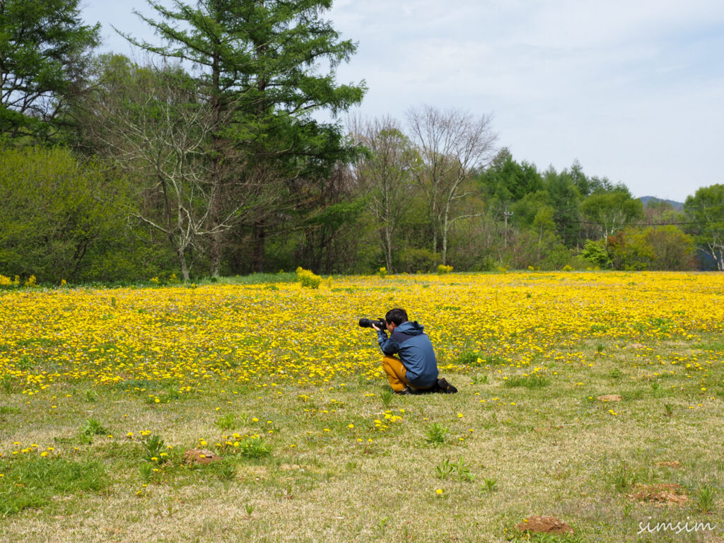 八ヶ岳ふれあい公園