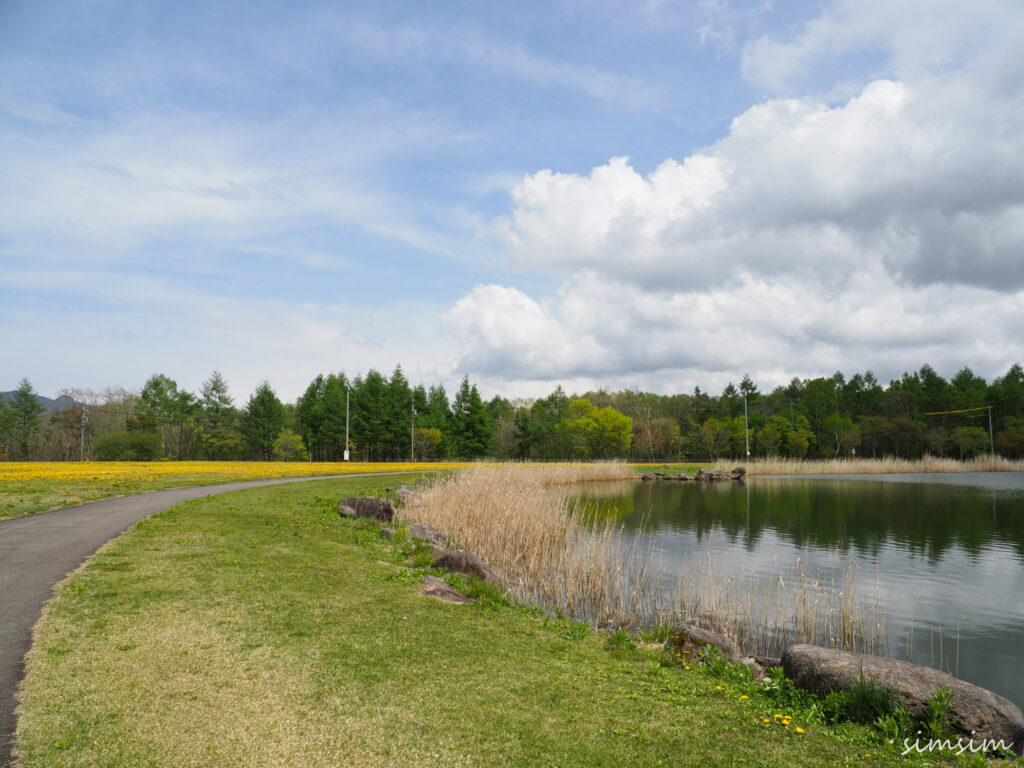 八ヶ岳ふれあい公園