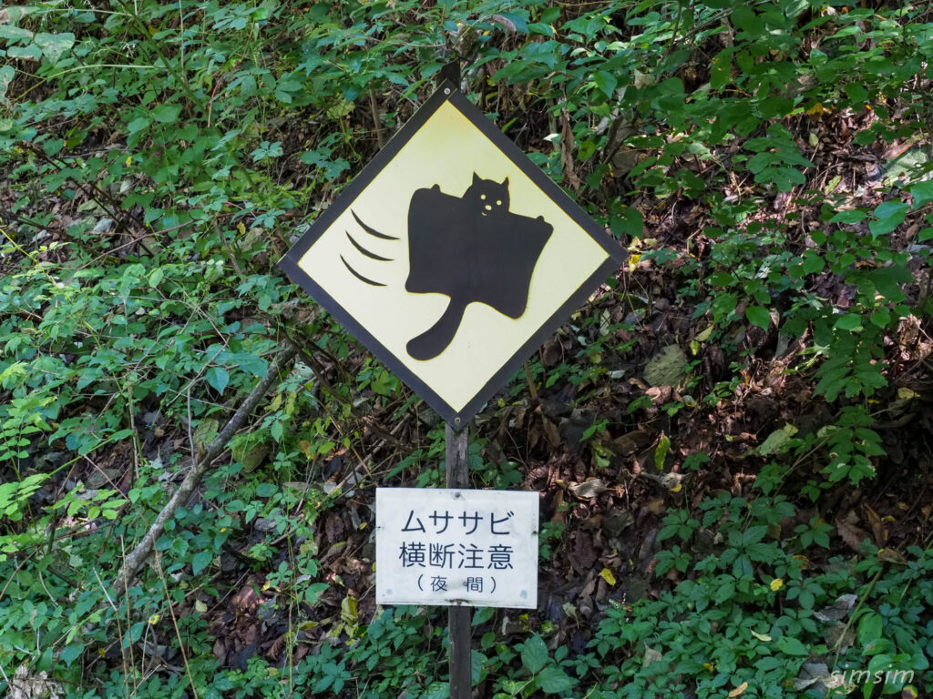 軽井沢野鳥の森