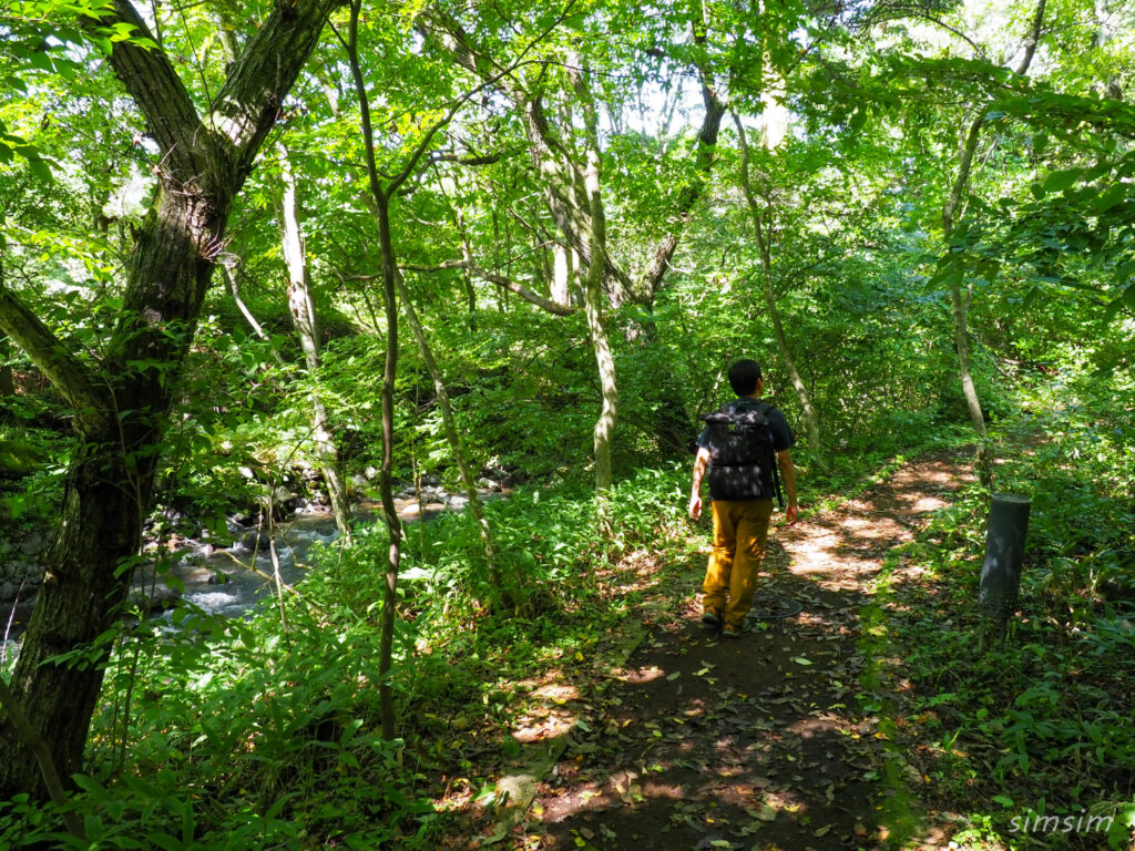 軽井沢野鳥の森