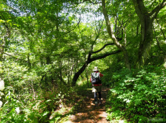 軽井沢野鳥の森