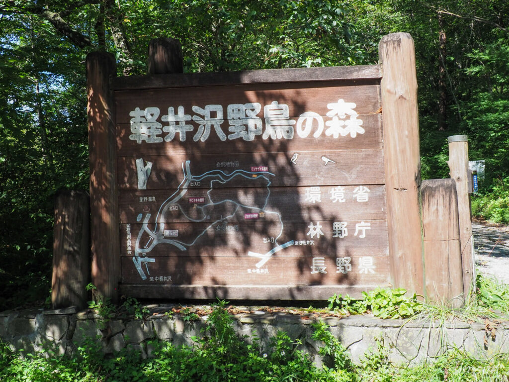 軽井沢野鳥の森
