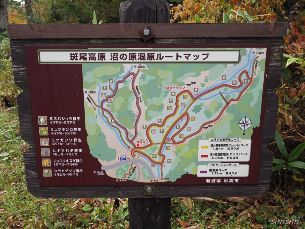 斑尾高原沼の原湿原