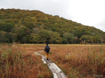 斑尾高原沼の原湿原