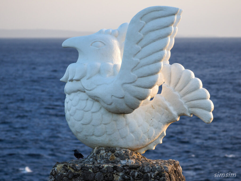 イソヒヨドリ(沖縄本島)