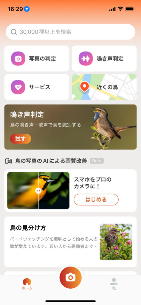 PictureBird
