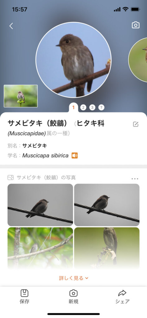 PictureBird