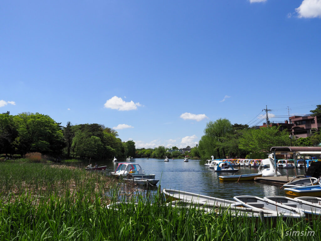 石神井公園新緑