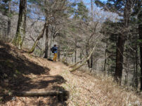 ミツモチ山野鳥撮影