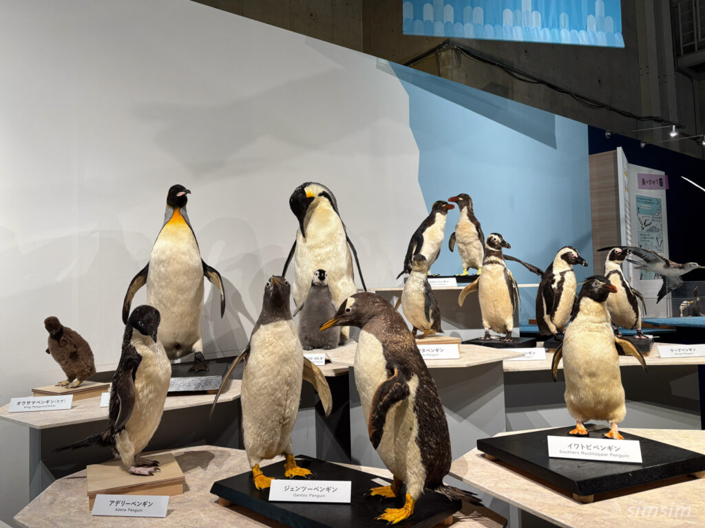 国立科学博物館　特別展「鳥」