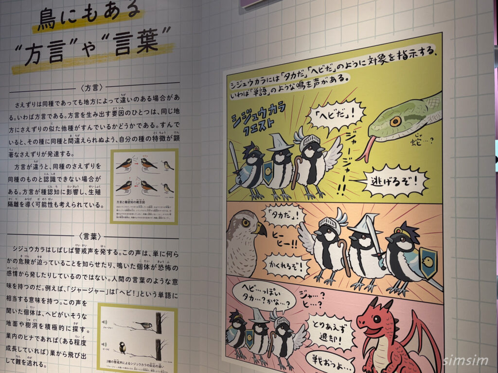 国立科学博物館　特別展「鳥」