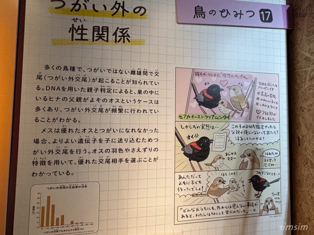 国立科学博物館　特別展「鳥」