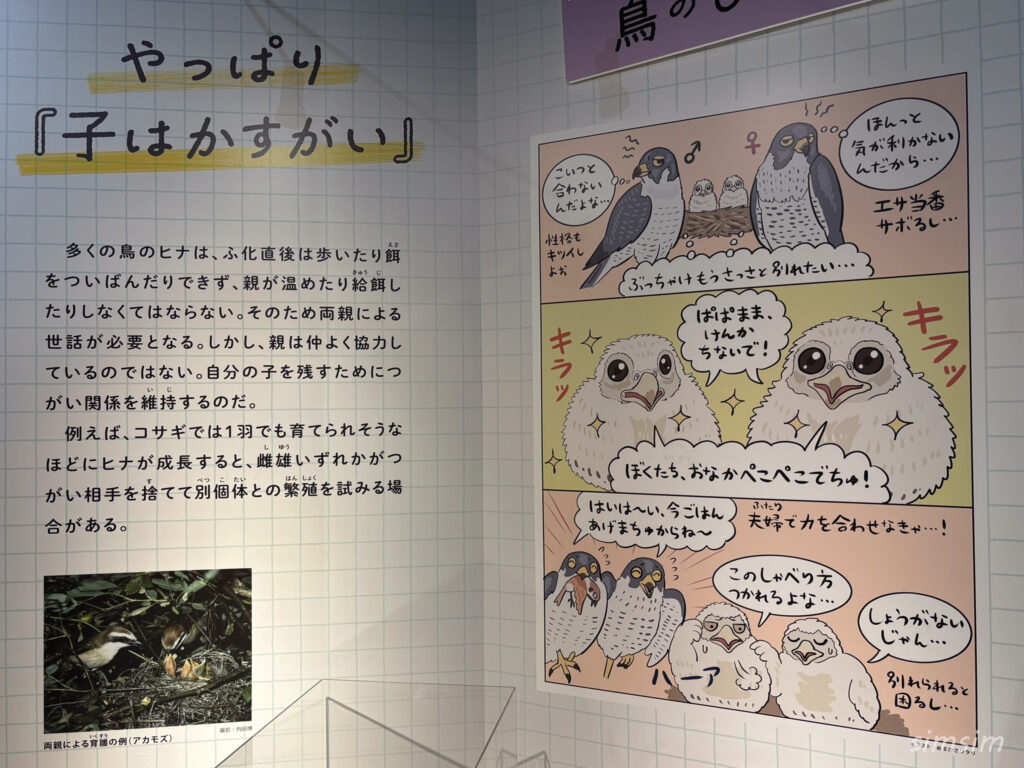 国立科学博物館 特別展「鳥」