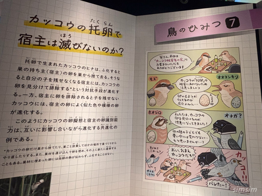 国立科学博物館 特別展「鳥」