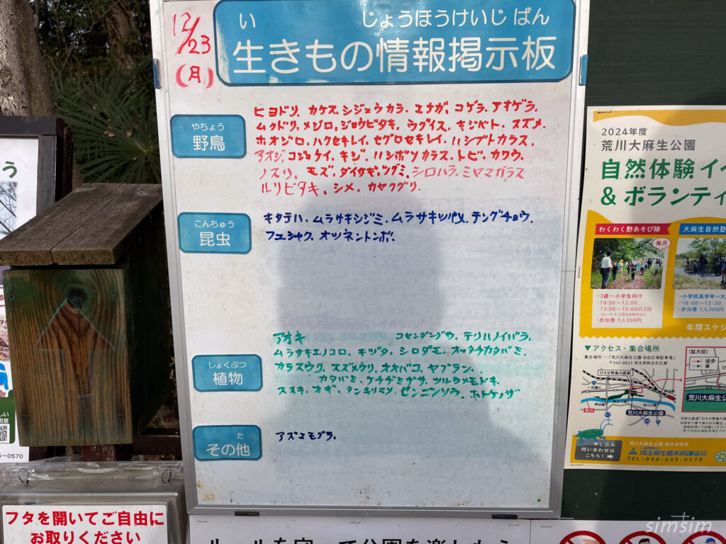 荒川大麻生公園