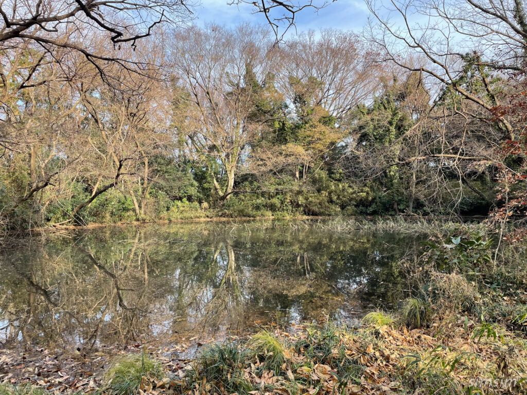 荒川大麻生公園