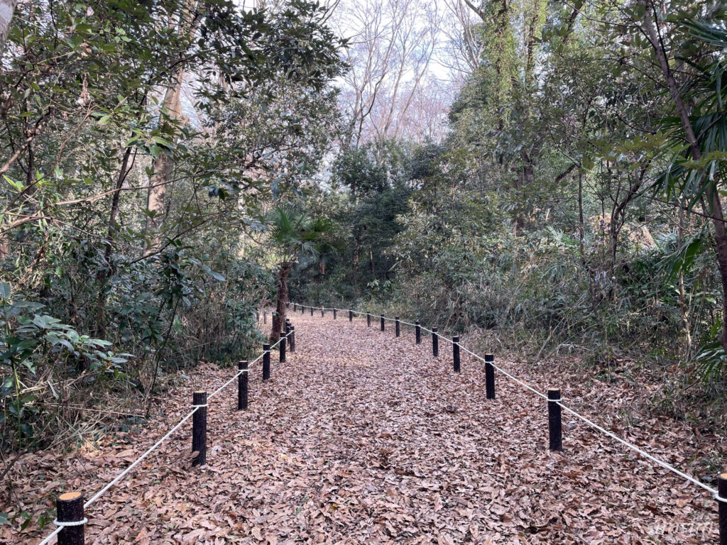 荒川大麻生公園