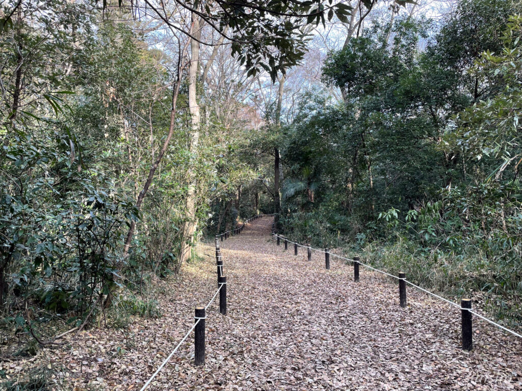 荒川大麻生公園