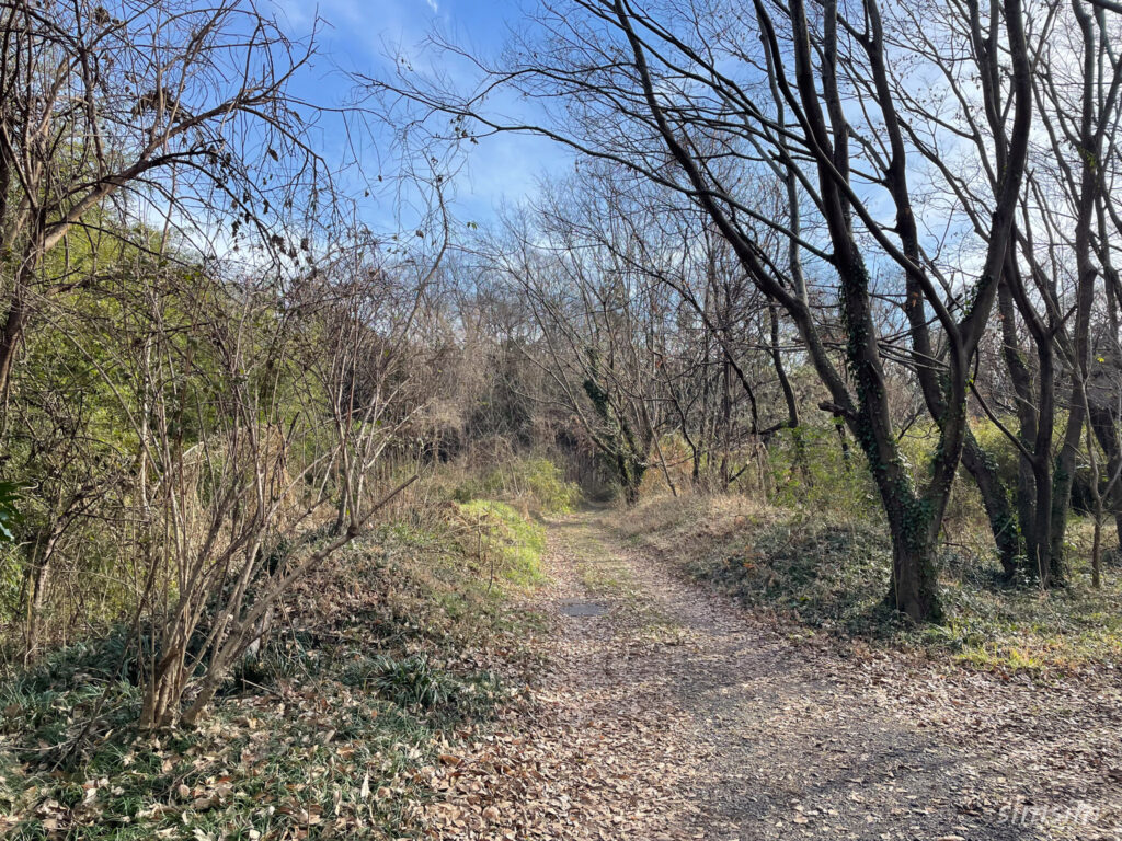荒川大麻生公園
