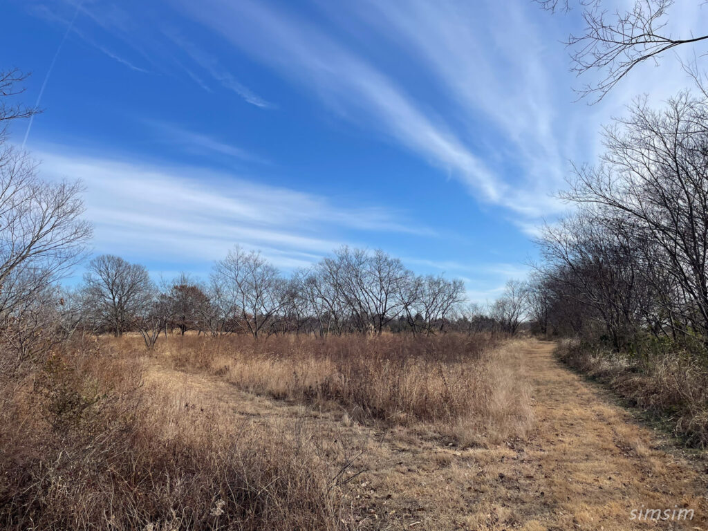 荒川大麻生公園