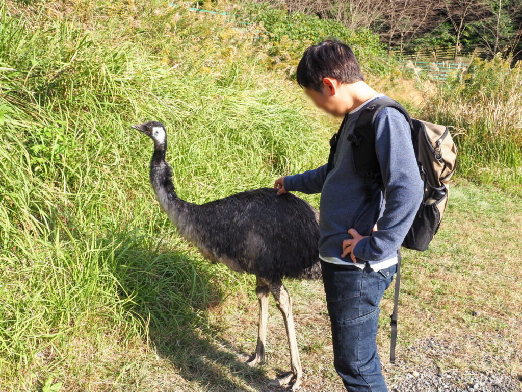 掛川花鳥園　エミュー