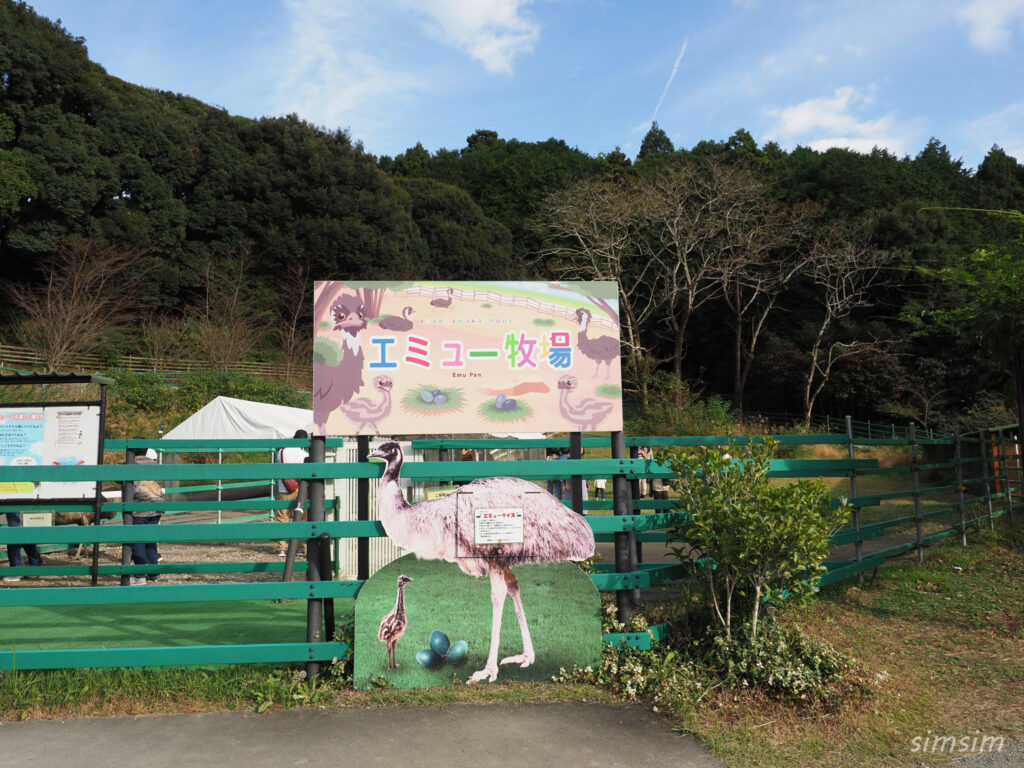 掛川花鳥園　エミュー