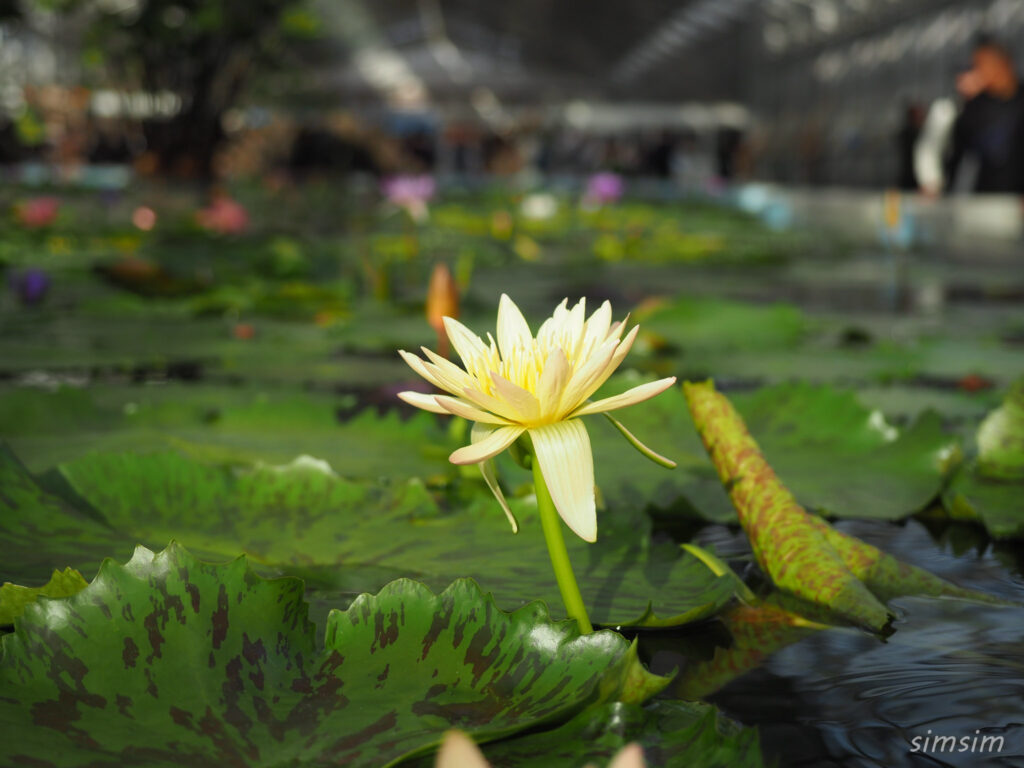 掛川花鳥園