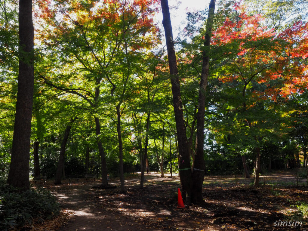 石神井公園