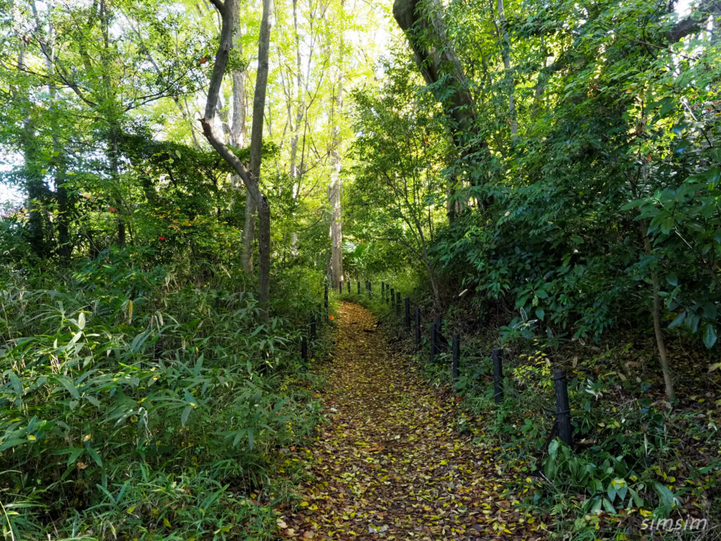 石神井公園