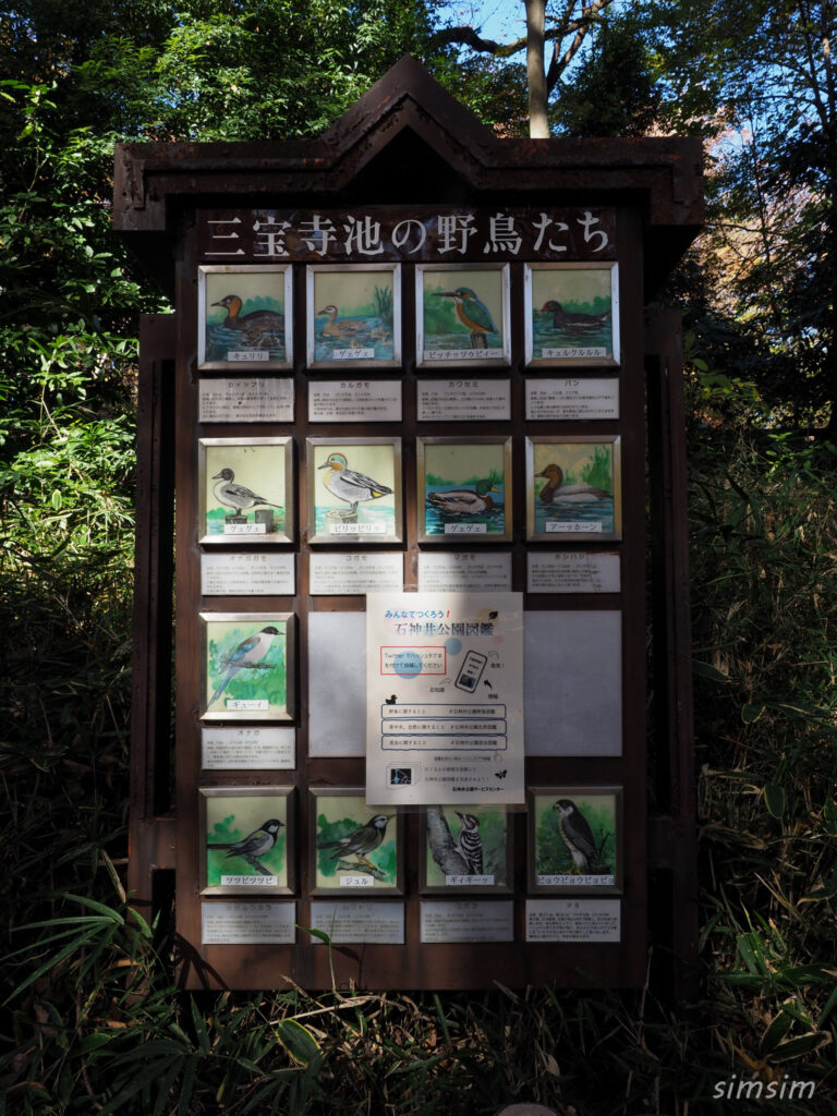 石神井公園