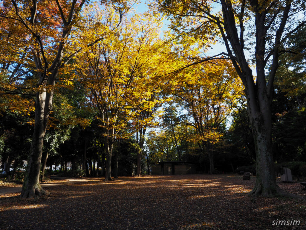 石神井公園