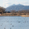 霞ヶ浦　鶴沼公園