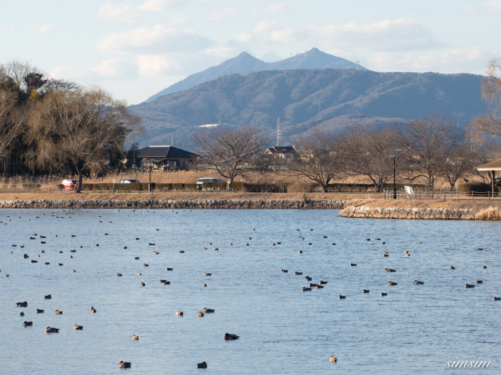 霞ヶ浦 鶴沼公園