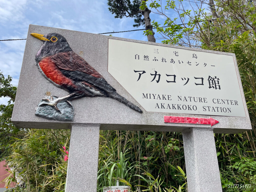 三宅島　アカコッコ館