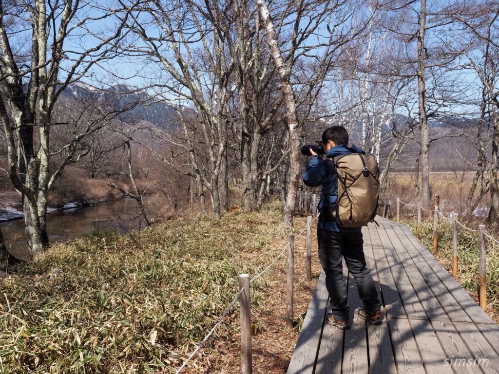 戦場ヶ原　野鳥撮影
