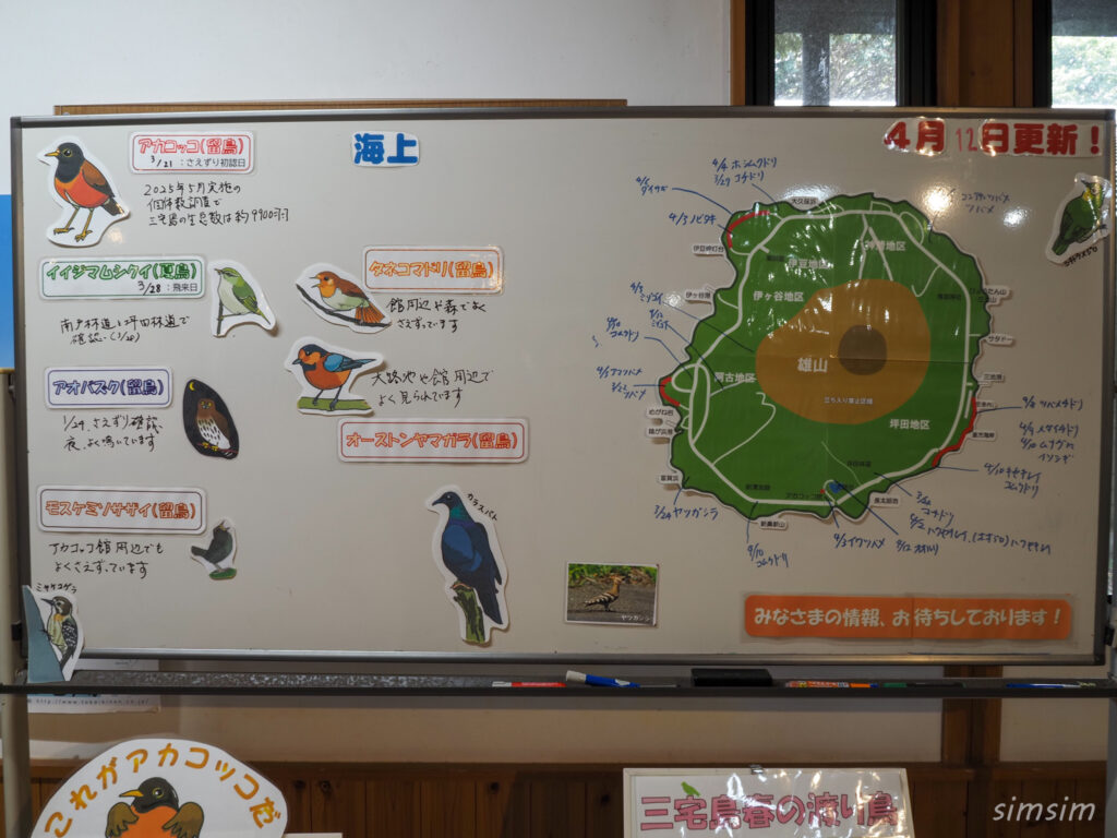 三宅島　アカコッコ館