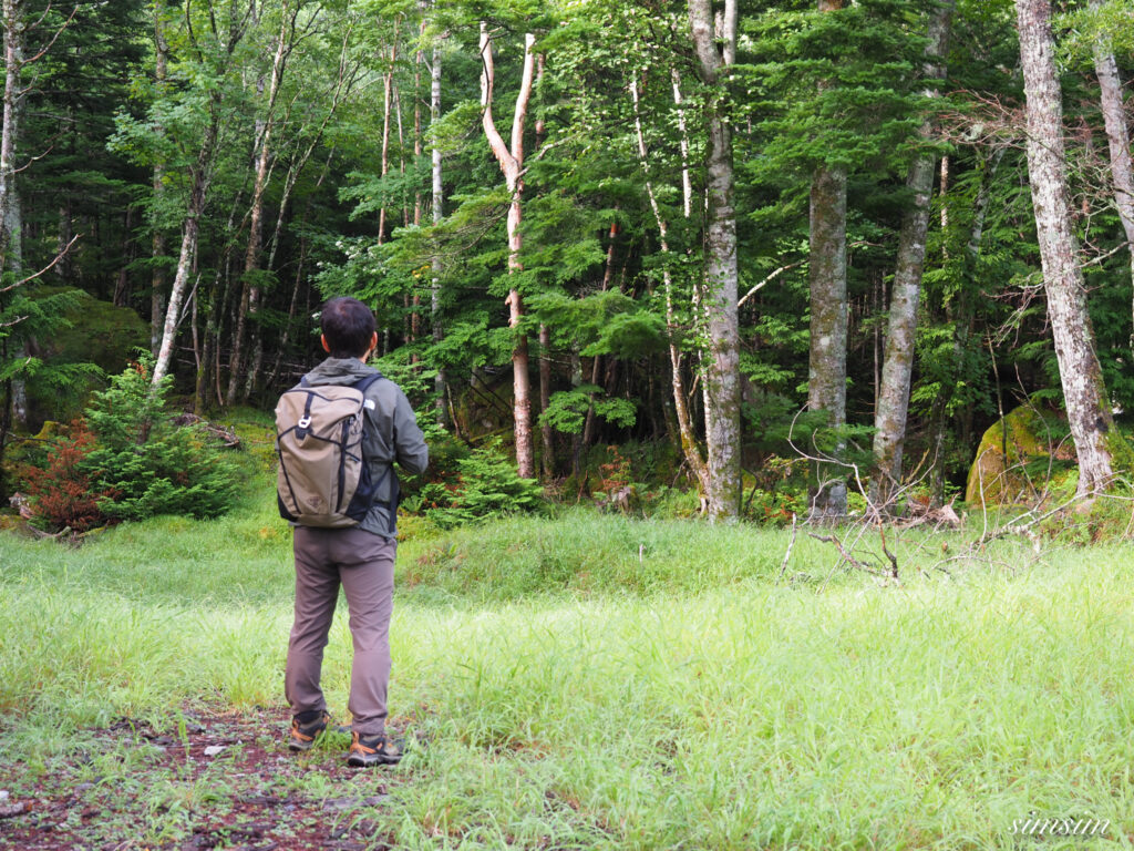 八ヶ岳山麓　野鳥撮影
